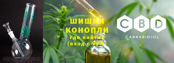 гидропоника Бородино