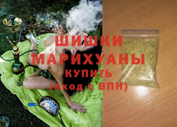 гидропоника Бородино